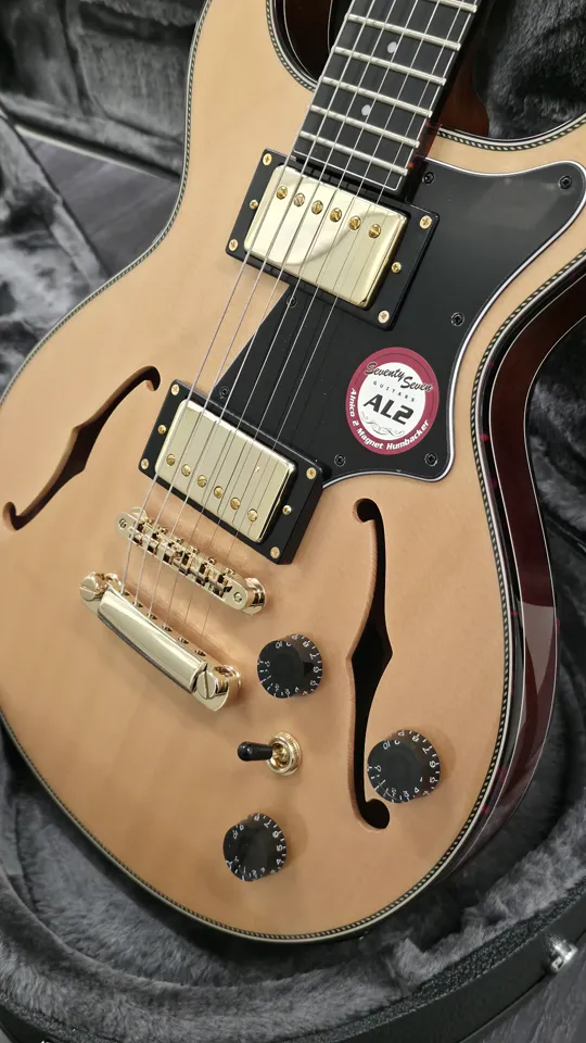 T's guitars Arc Hollow Jazz Arc Series · T's Guitars